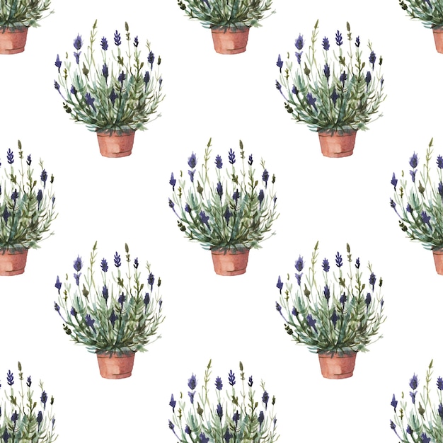 Corona de lavanda en un marco circular ilustración acuarela dibujada a mano