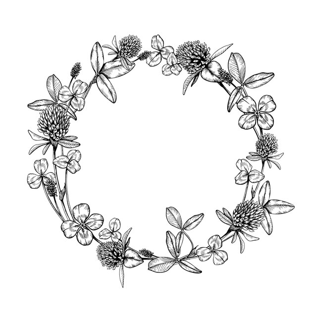 Corona de trébol de plantas de flores silvestres con flores y hojas Ilustración vectorial dibujada a mano Esbozo pintado con tintas negras Línea negra en fondo blanco aislado Para el paquete del logotipo de la tarjeta clipart