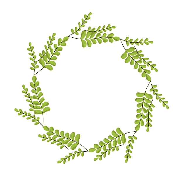 Corona vectorial de hojas con ramas Marco decorativo plantilla para tarjeta postal Círculo verde de hojas