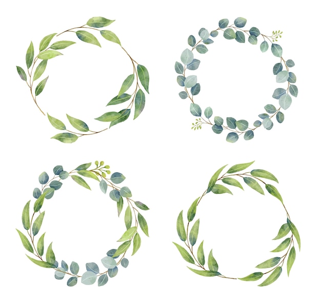 Coronas de ramas de eucalipto con estilo de acuarela Verdor de boda en círculo diseño decorativo
