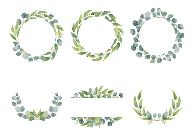 Coronas de ramas de eucalipto con estilo de acuarela Verdor de boda en círculo diseño decorativo