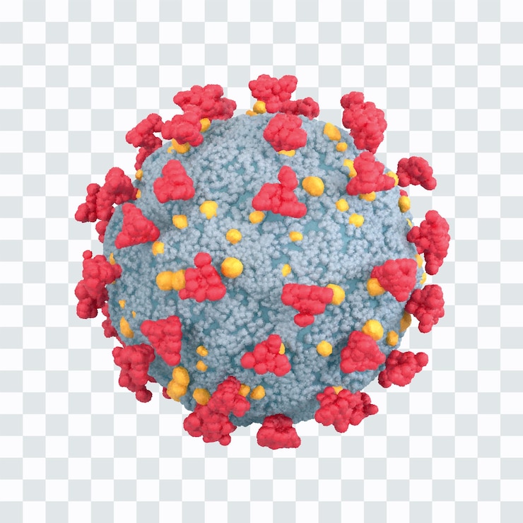 Vector coronavirus célula covid19 enfermedad peligrosa de infección por coronavirus bajo microscopio vista microscópica de las células del virus de cerca el riesgo de pandémica y contagio del sars