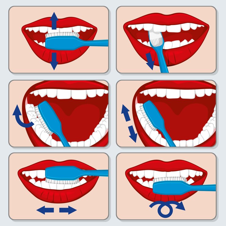 Vector corregir la infografía de vector de cepillado de dientes