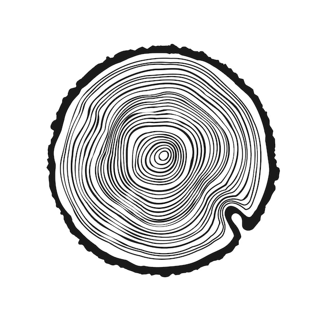 Cortado en tronco de árbol redondo cortado en pino o roble cortado en madera cortada en sierra textura de madera con anillos de árbol boceto dibujado a mano ilustración vectorial