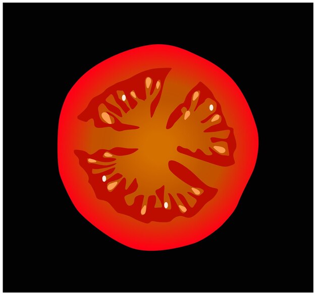 Cortar tomate rodaja vector Cortar tomate vector