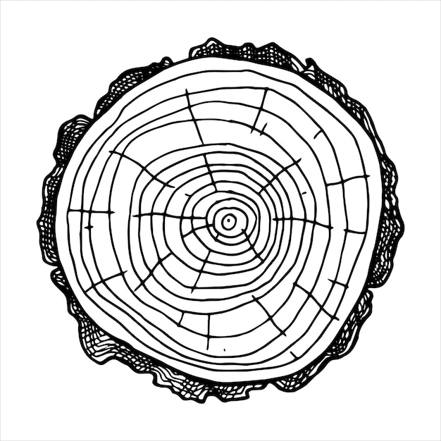 corte redondo de madera dibujo de línea vectorial