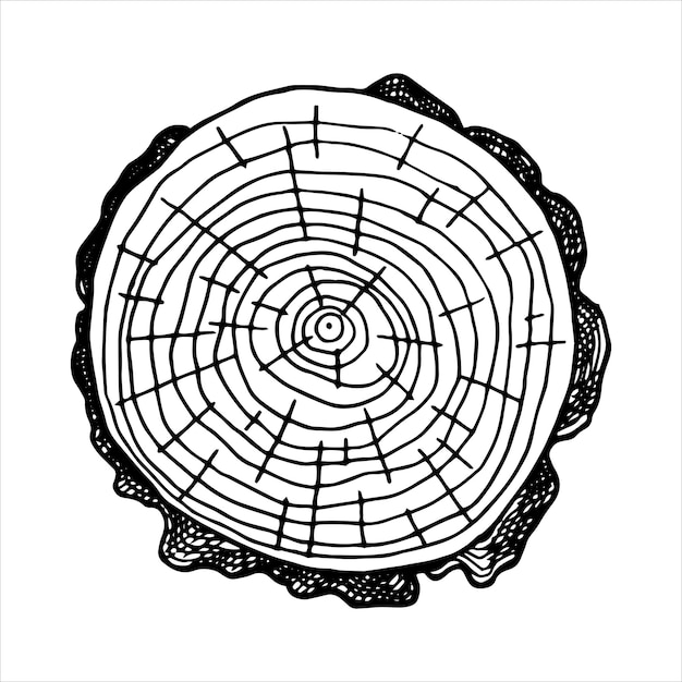 corte redondo de madera dibujo de línea vectorial