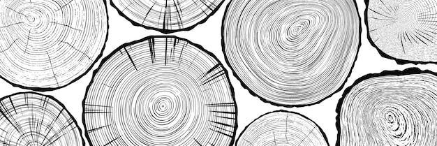 Corte de troncos, pancarta vectorial, patrón de anillos de árboles, tonos de gris