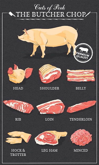 Cortes de carne de cerdo diagrama conjunto cartel carnicero diagrama vintage dibujado a mano ilustración vectorial
