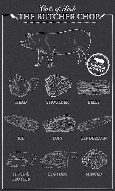 Cortes de diagrama de cerdo parte del conjunto de corte de carne de cerdo. póster diagrama de carnicero vintage tipográfico dibujado a mano. ilustración vectorial en negro