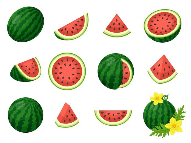 Cortes y rebanadas de sandía de dibujos animados frescos Frutas dietéticas Mercado tropical Alimentos veganos Sandías aisladas Iconos de cosecha de temporada dulce Gráfico vectorial llamativo