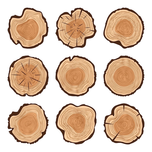 Cortes redondos en el tronco del árbol con grietas cortadas de pino o roble cortadas de madera cortadas de madera cortadas de madera marrón de madera.
