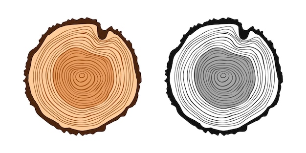 Vector cortes redondos del tronco del árbol en varios colores cortas de pino o roble aserradas madera madera cortada por sierra madera de madera marrón textura de madera con anillos de árbol boceto dibujado a mano ilustración vectorial