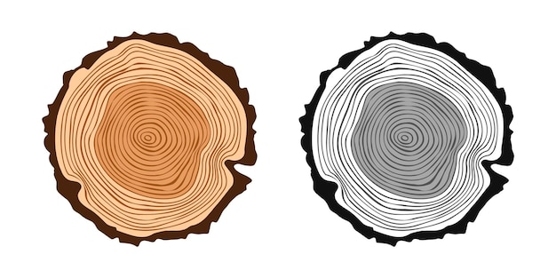 Cortes redondos de troncos de árboles en varios colores, madera aserrada de pino o roble, madera cortada con sierra, textura de madera marrón con anillos de árbol, boceto dibujado a mano, ilustración vectorial