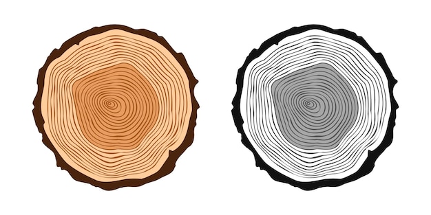Cortes redondos de troncos de árboles en varios colores, madera aserrada de pino o roble, madera cortada con sierra, textura de madera marrón con anillos de árbol, boceto dibujado a mano, ilustración vectorial