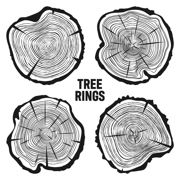 Vector cortes de tronco de árbol redondo con grietas cortadas de pino o roble cortadas de madera cortadas con sierra madera madera textura de madera