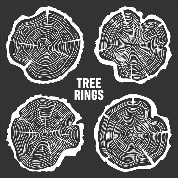 Vector cortes de troncos de árboles redondos blancos con grietas cortadas de pino o roble cortadas de madera cortadas con sierra madera madera