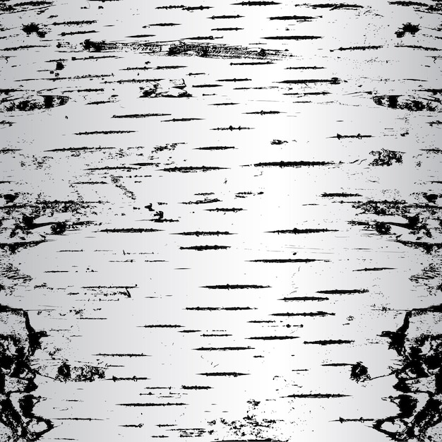 Corteza de abedul en la textura de grietas Ilustración vectorial