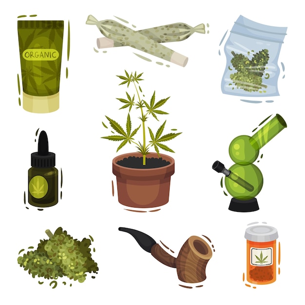 Cosas y artículos de plantas de cannabis Conjunto ilustrado vectorial de pipa y bong para fumar y cosméticos para el uso de conceptos naturales orgánicos