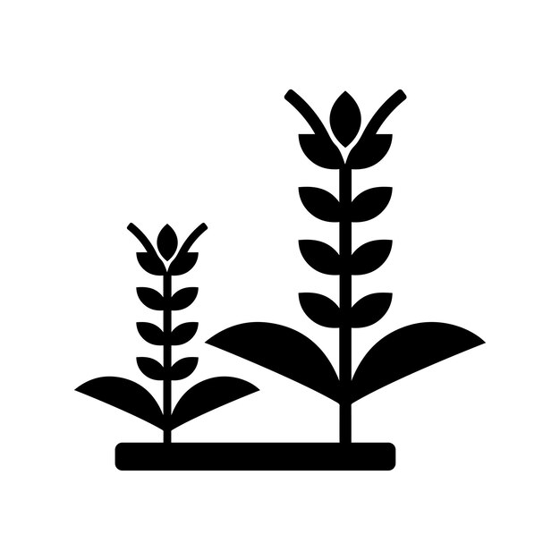 Cosecha agricultura cebada pan negocio icono celíaco gráficos vectoriales negros