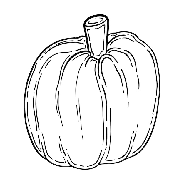 Cosecha entera de calabaza para comer dibujos animados lineales de garabatos