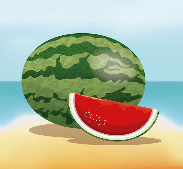 Vector cosecha fresca de la fruta de la sandía - fondo de la playa