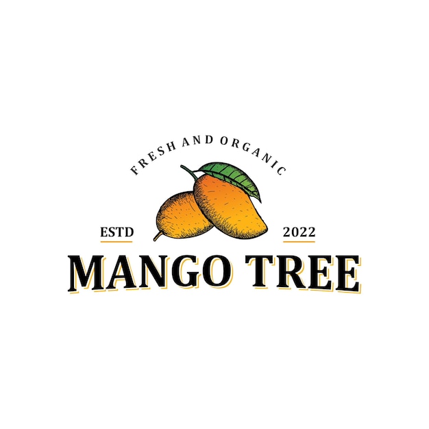 Cosecha de fruta de mango