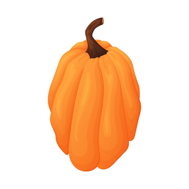 Cosecha madura otoño calabaza vegetal vector aislado ilustración de dibujos animados