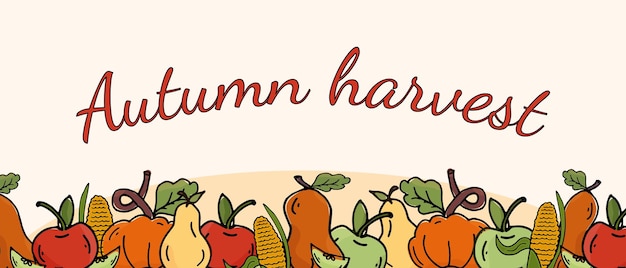 Cosecha de otoño banner horizontal Vector frutas manzanas peras calabazas maíz Tema de acción de gracias Fondo festivo Plantilla de arte Elementos para portada web encabezado de cartel de página de destino para sitio web
