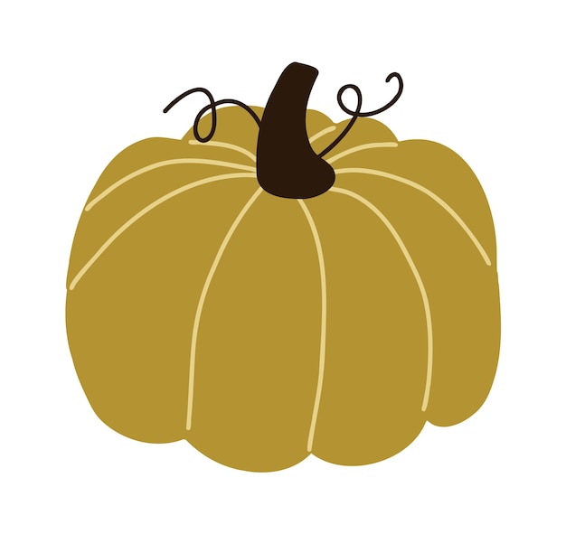 Cosecha de otoño calabaza acogedora ilustración vector acción de gracias impresión plana