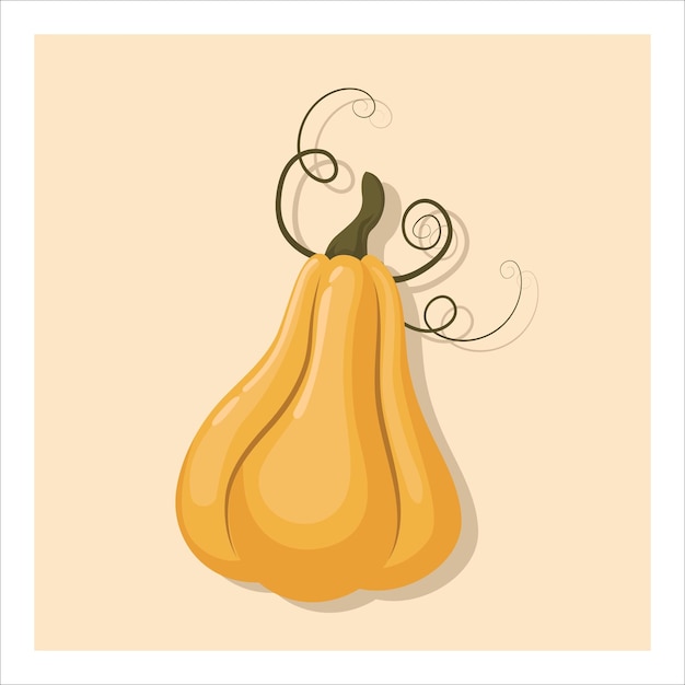 Cosecha de otoño calabaza amarilla aislada sobre fondo beige Ilustración colorida de acción de gracias