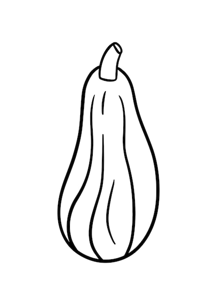 Cosecha de vegetales de calabacín huerta doodle dibujos animados lineales para colorear