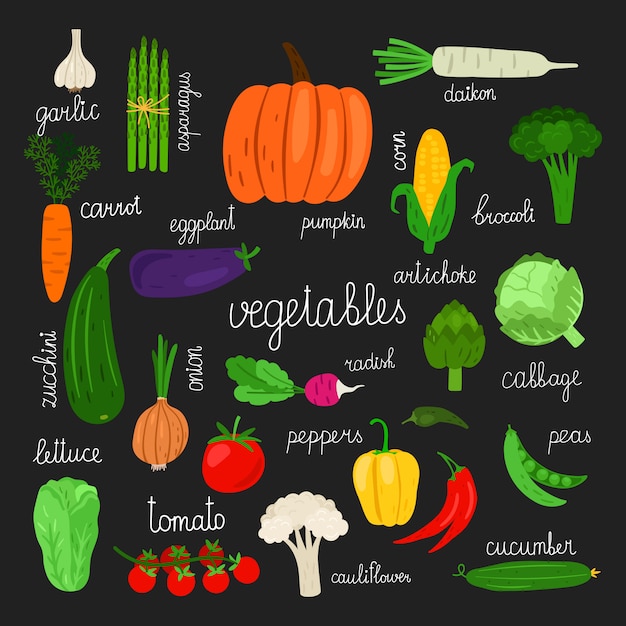 Vector cosecha, verduras frescas de ilustración conjunto