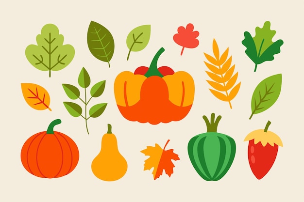 Cosecha de verduras y hojas Ilustraciones vectoriales Bundle otoño otoño Set de cliparts estacionales