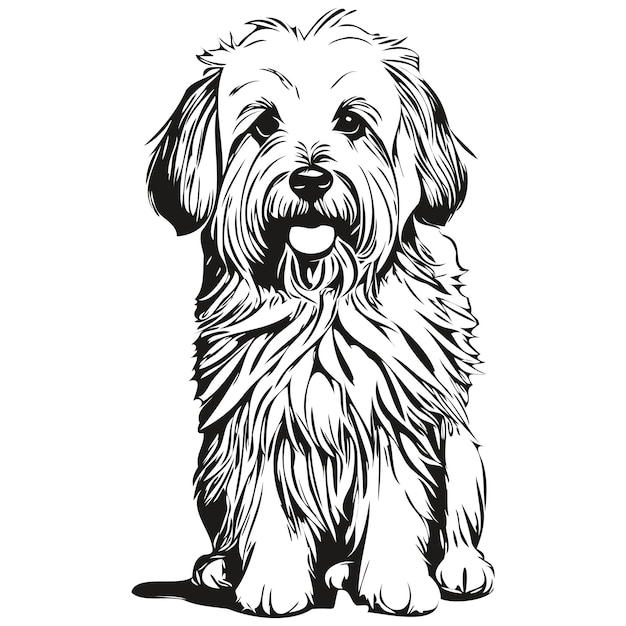 Coton de Tulear perro contorno lápiz dibujo obra de arte personaje negro sobre fondo blanco dibujo boceto