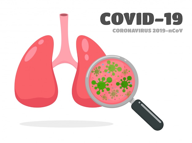 Covid-19 o virus corona. lupa que examina el virus corona en los pulmones de los pacientes.