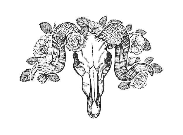 Cráneo animal con cuernos decorado con flores aisladas sobre fondo blanco Diseño de tatuaje de calavera