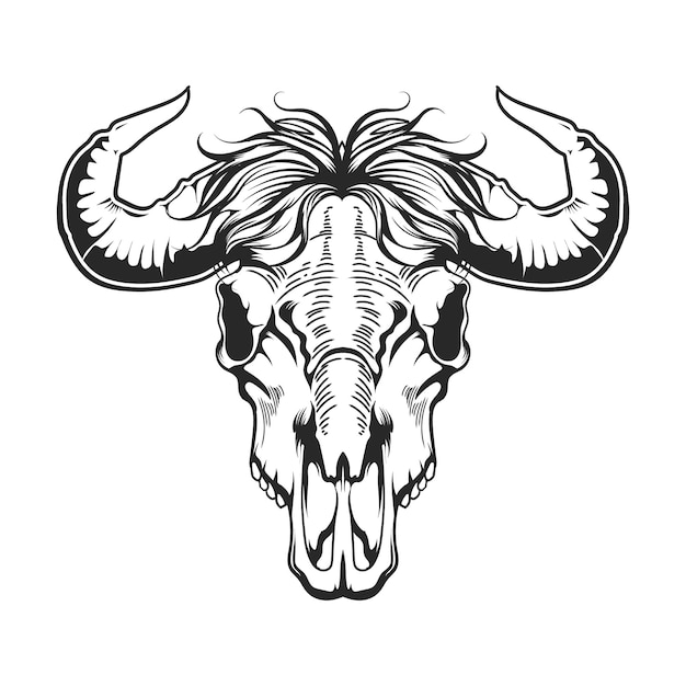 Cráneo de cabeza de vaca con algo de pelo para el diseño vectorial de vaquero