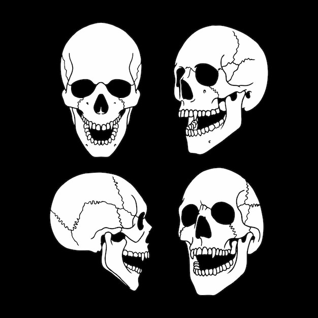 cráneo cabeza vector huesos humanos