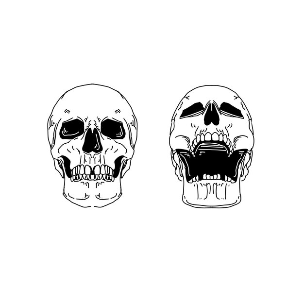 cráneo dibujado a mano doodle ilustraciones vector conjunto