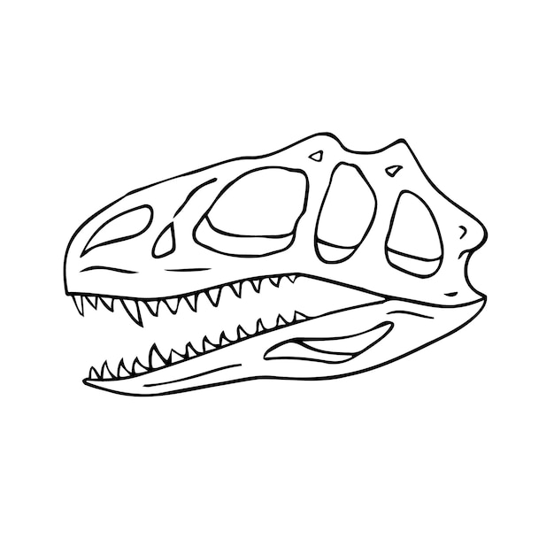 Cráneo de dinosaurio tiranosaurio dibujado a mano por vector