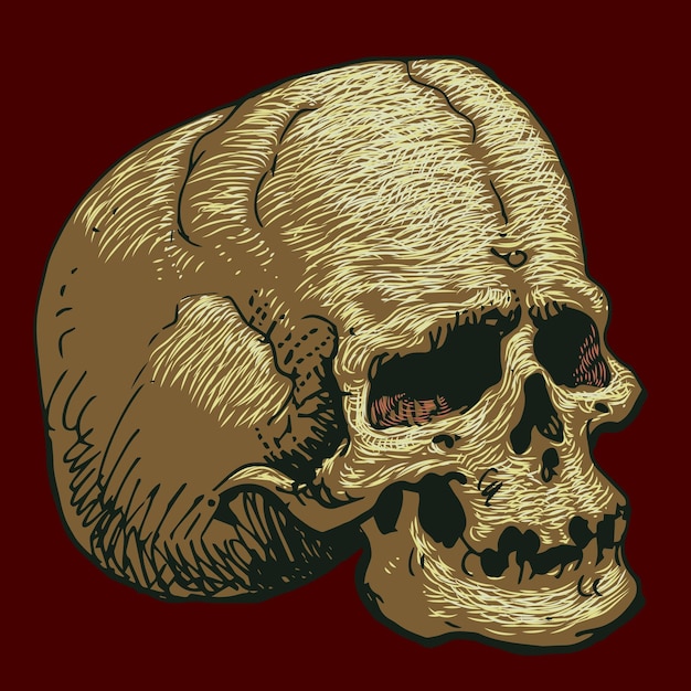 Vector cráneo en estilo de tatuaje de esquema de arte
