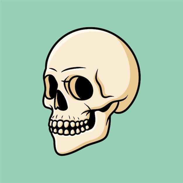 Cráneo frente a la derecha Ilustración Vector de dibujos animados