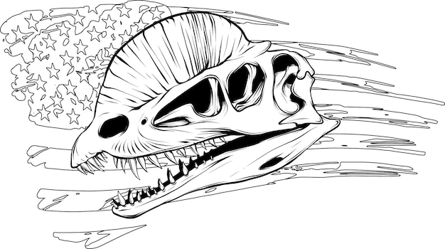 Cráneo gráfico de dilophosaurus aislado sobre fondo blancoelemento fósil vectorial del museo