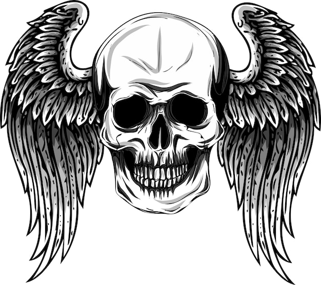 Vector cráneo humano con alas para ilustrador vectorial de diseño de tatuajes