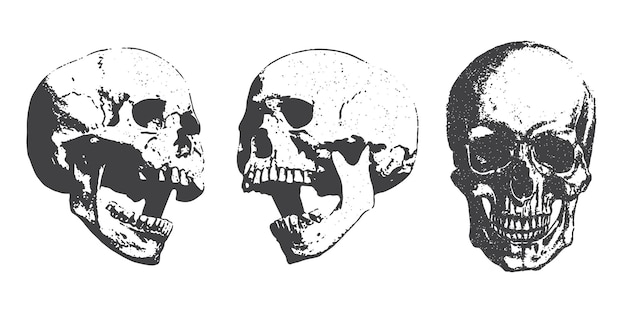 Cráneo humano con efecto de punto de medio tono para el diseño de collage grunge punk y2k estilo pop art