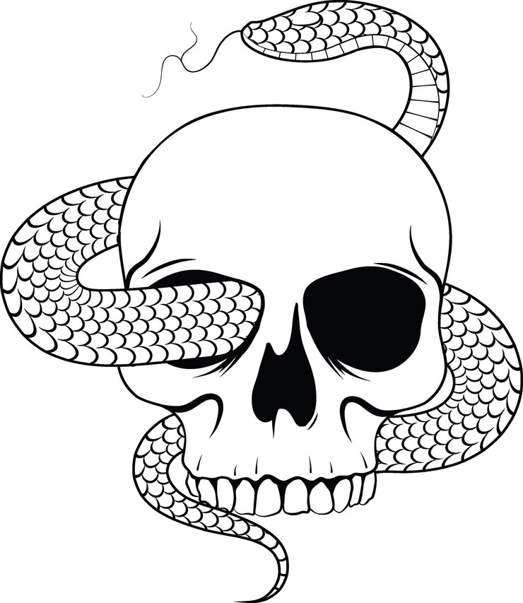 Cráneo humano con serpiente venenosa aislado tatuaje flash o diseño de impresión ilusión vectorial de arte de línea dibujada a mano