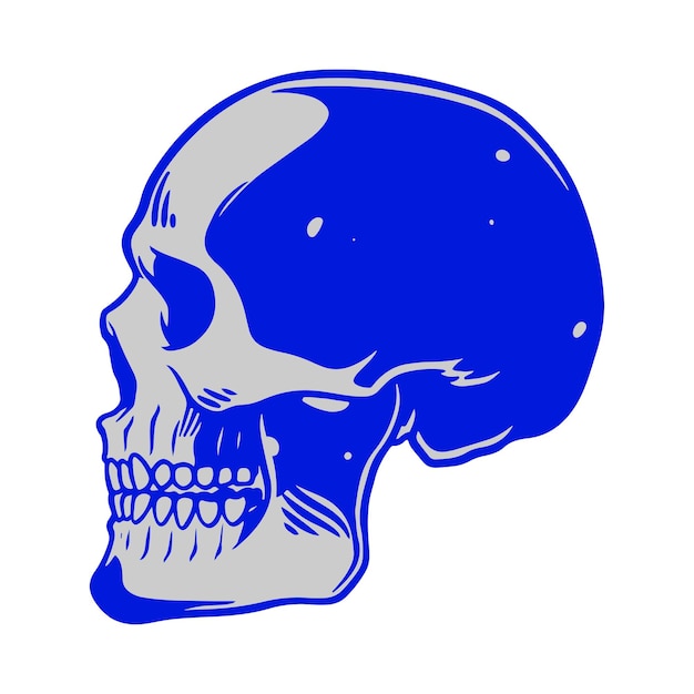 Vector cráneo ilustración cabeza