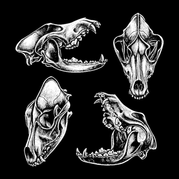 El cráneo de perro vectorial la silueta del perro el arte de la ilustración vectorial