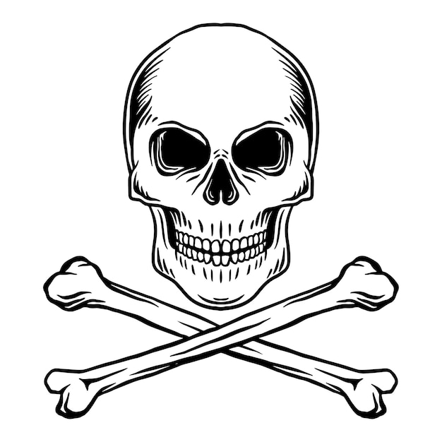 Cráneo de piratas vector